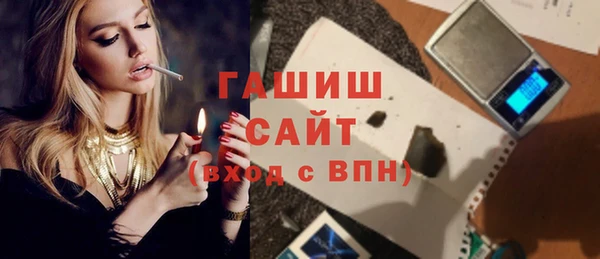 гашик Алексин