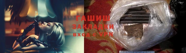 гашик Алексин