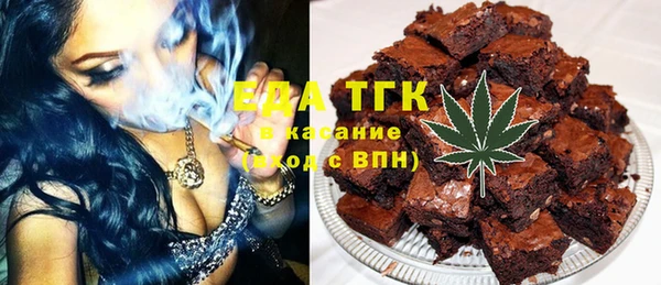 гашик Алексин