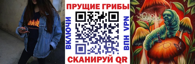 Псилоцибиновые грибы ЛСД  Ликино-Дулёво 