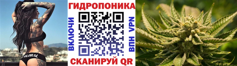 Бошки Шишки Amnesia  Ликино-Дулёво 